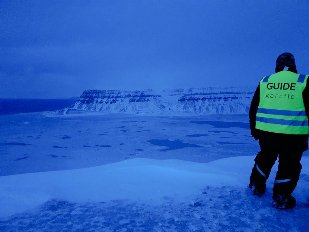 Persona di spalle con giubbotto giallo e scritta Arctic guide, che guarda verso una baia ghiacciata