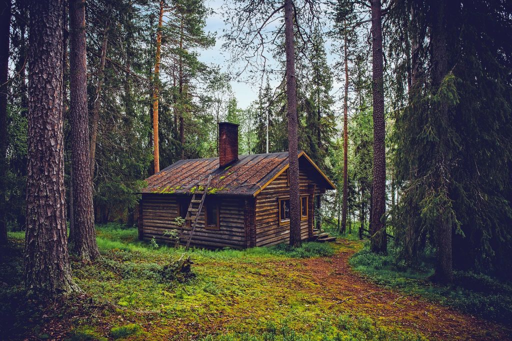 Cabin nella foresta 