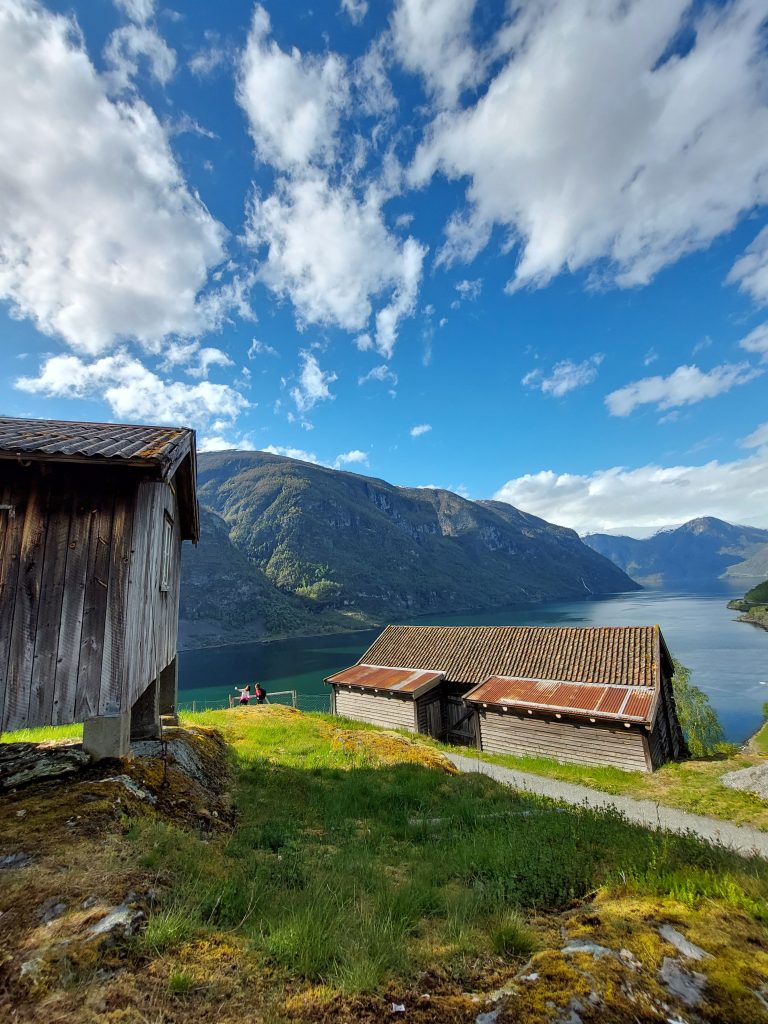 La vista sul fiordo da Otternes, Flåm