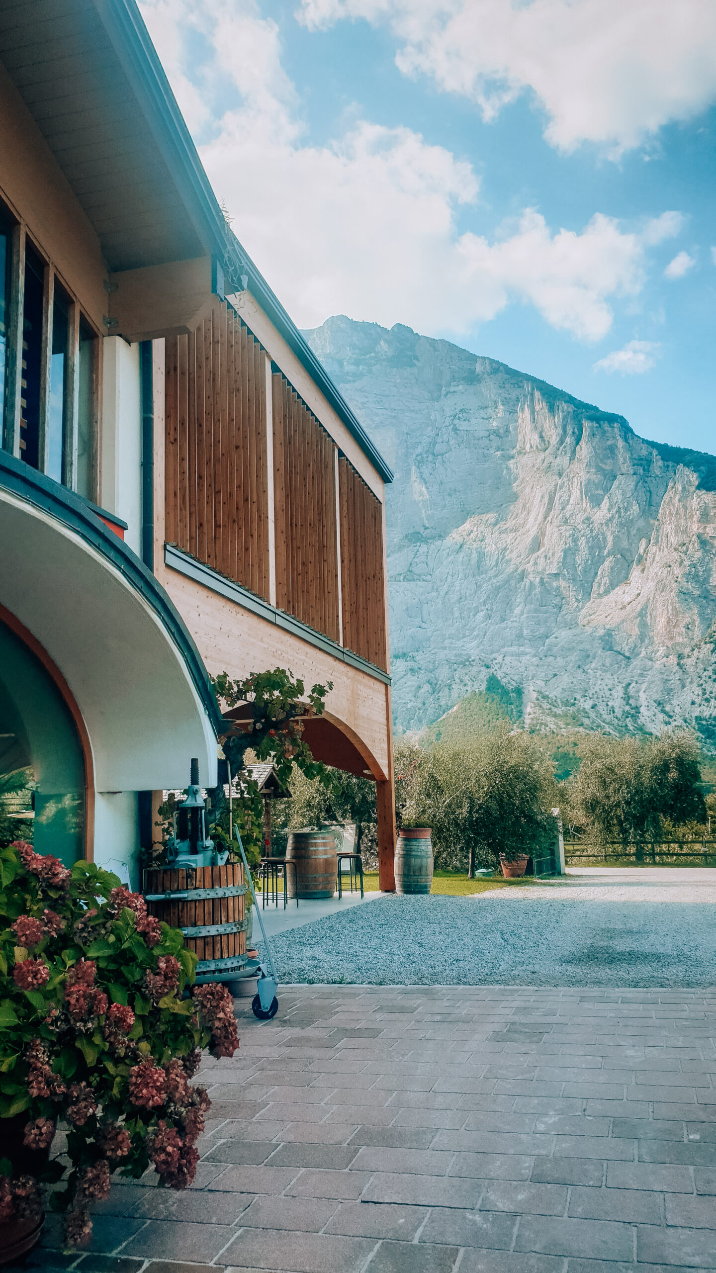 Cantina nel Grada Trentino