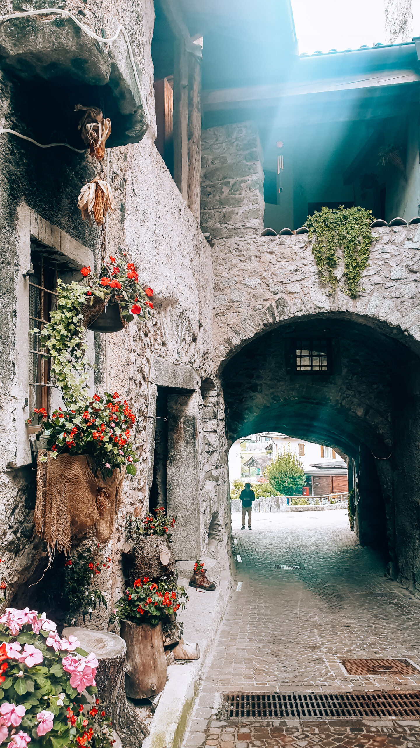 Rango nel Garda Trentino