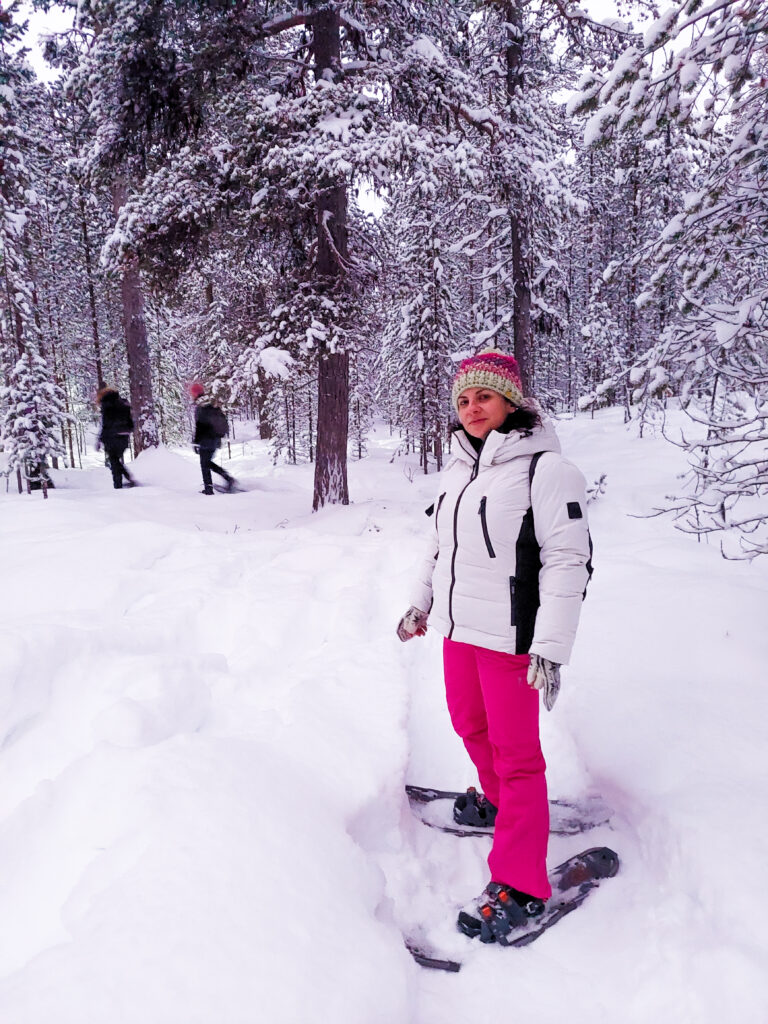 Nel bosco innevato in Lapponia