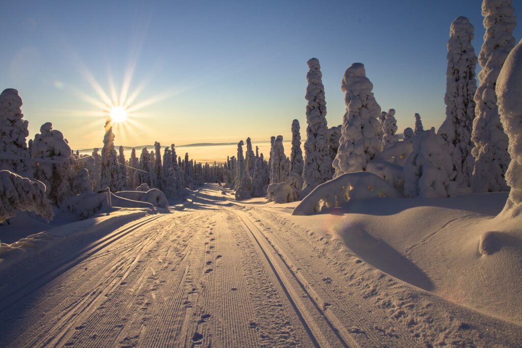 Strada innevata in Lapponia