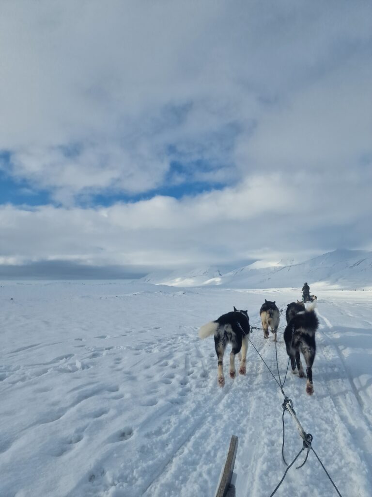 Una slitta trainata dagli husky in una valle innevata