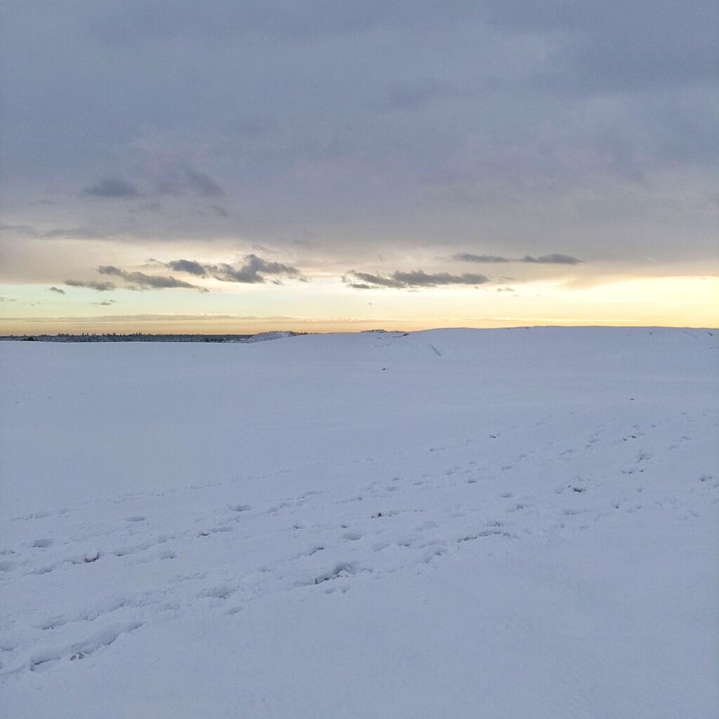 Le dune di sabbia ricoperte di neve