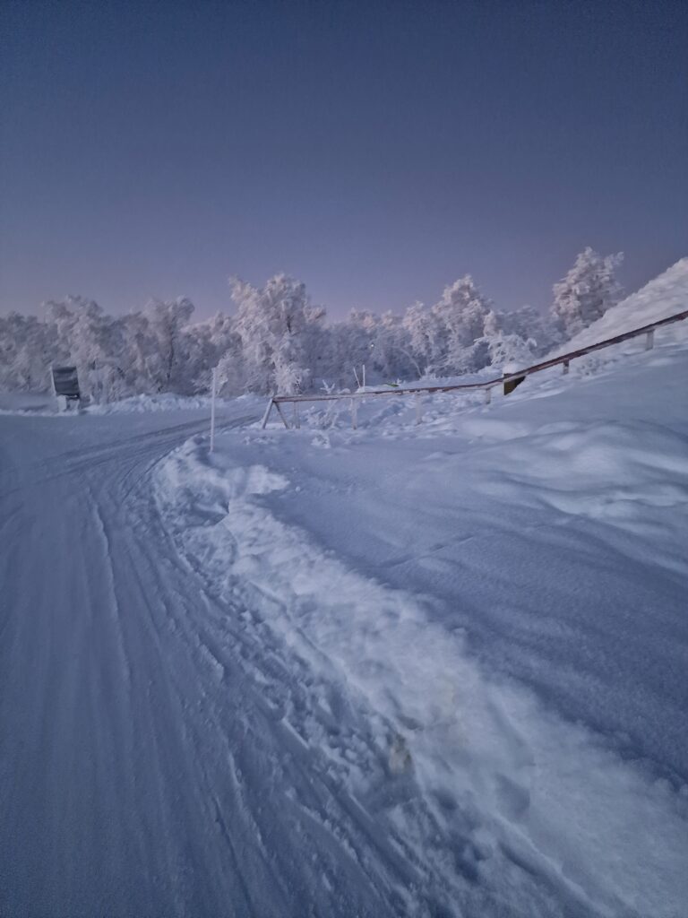 Strade e alberi completamente innevati e cielo blu viola